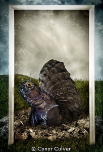 "This Is My Home" part of my Underwater Surrealism series... by Conor Culver 